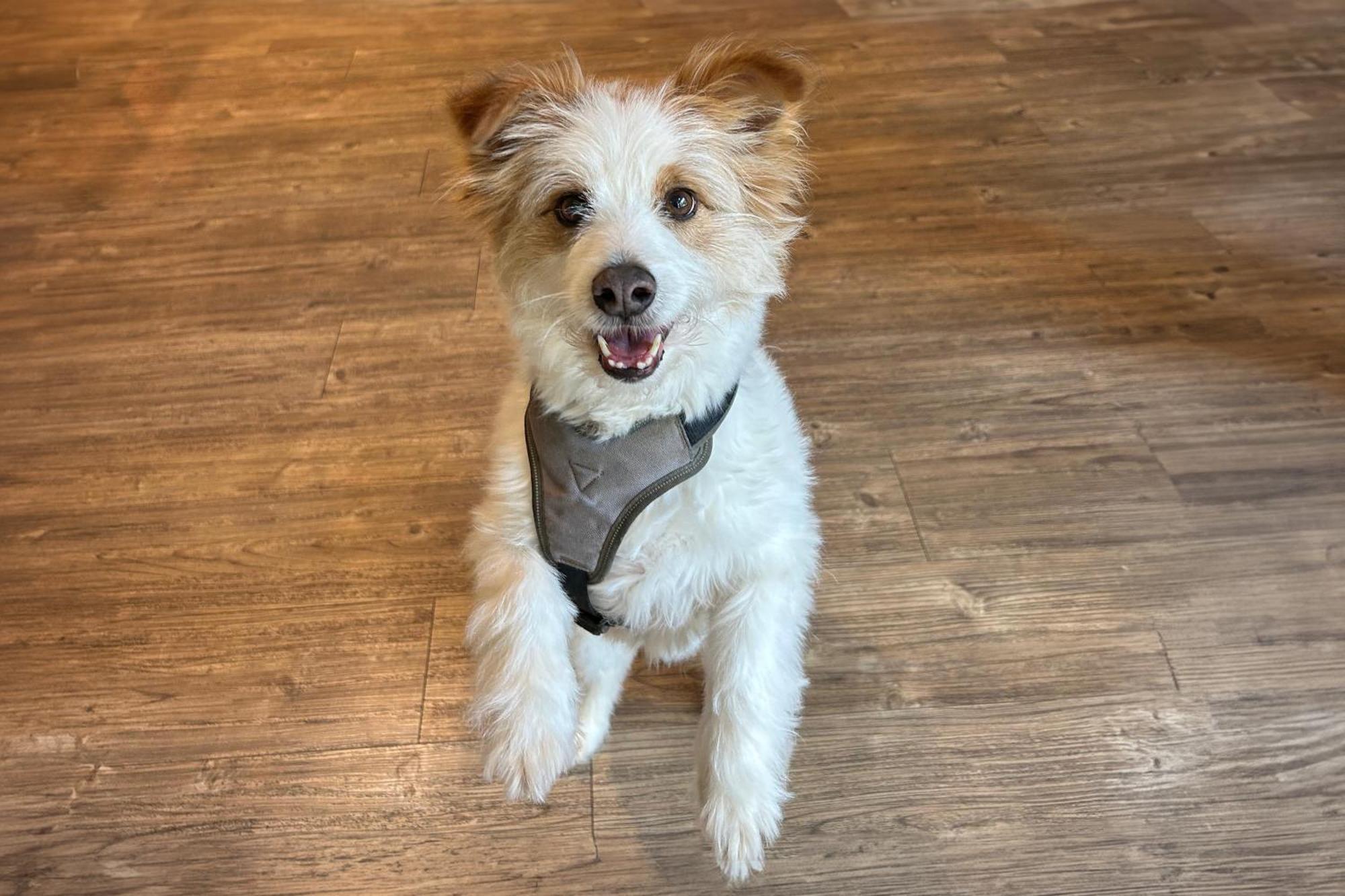 - The Niu, Hub Messe By Ihg Dusseldorf